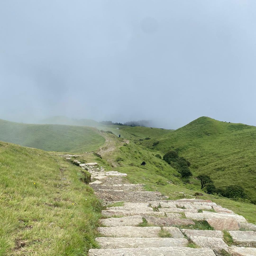 Sailung Top