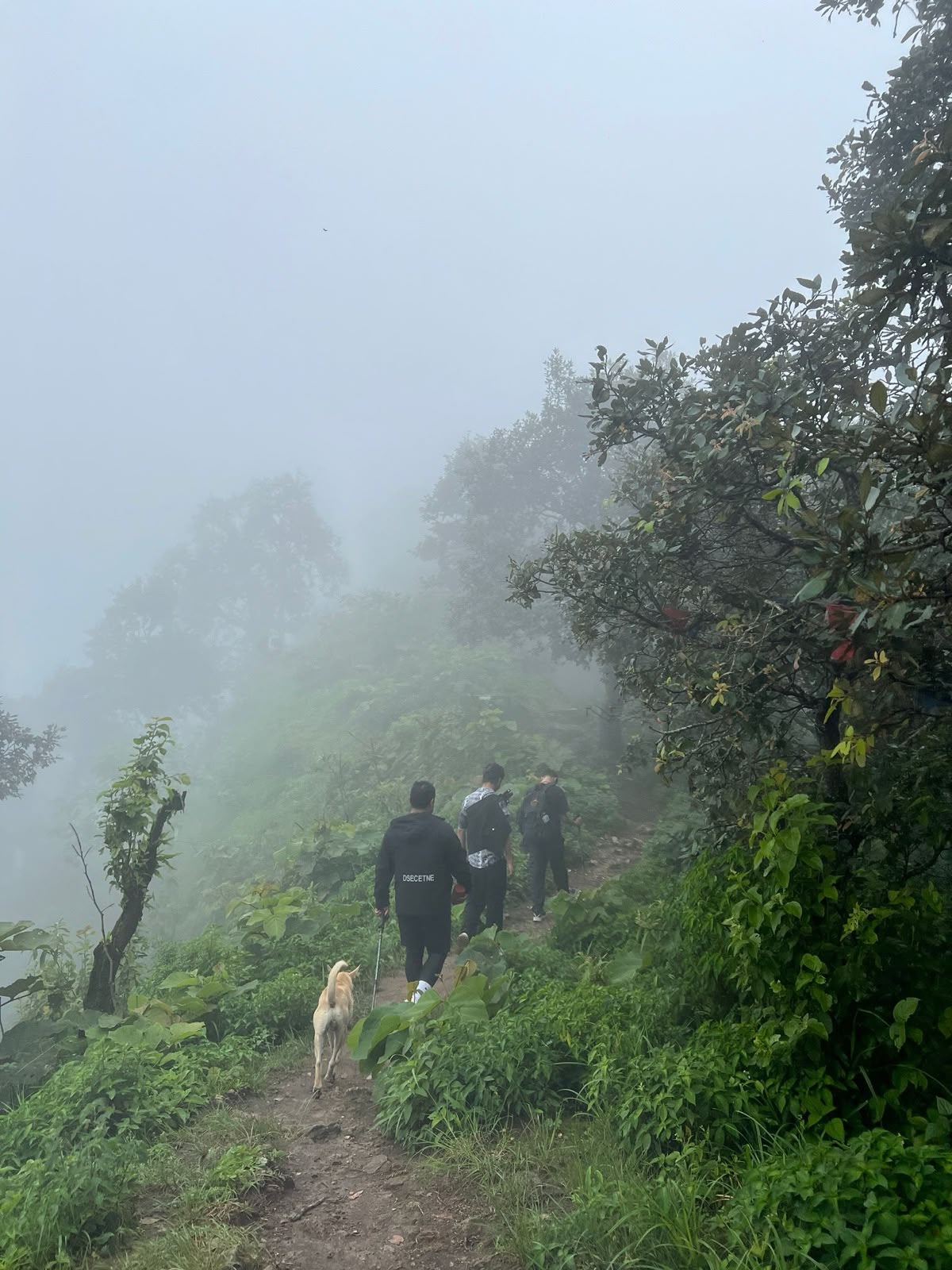 Forest hiking trail leading toward Latarambeshwor Mahadev Temple