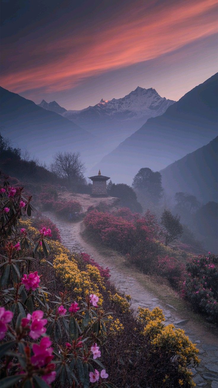 Rhododendron forest below Lama Hotel